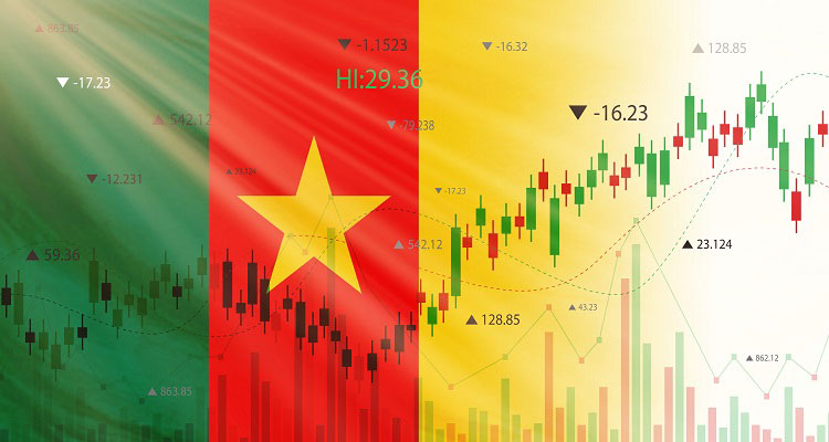 The Cameroonian flag with economic growth chart over the top. 