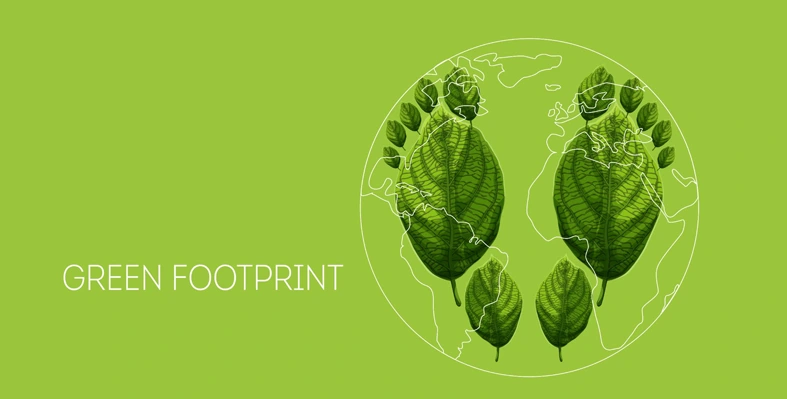 "Green footprint" text with an outline of the world with green footprints in the form of leaves on it.