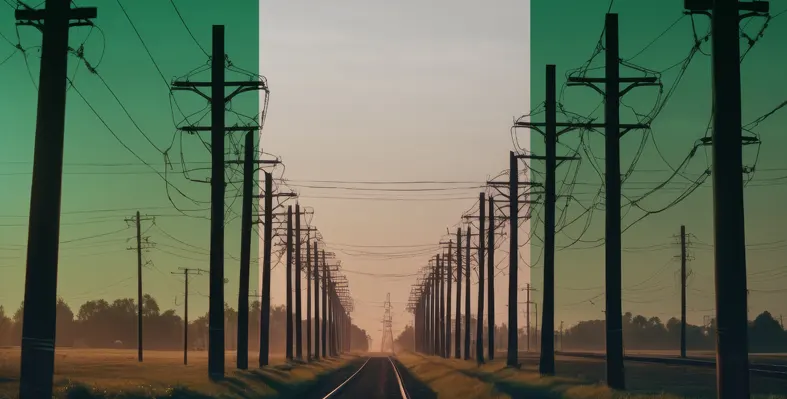 nigerian_power_cables_and_poles_on_nigerian-coloured_flag