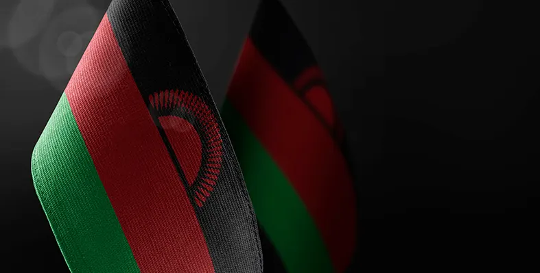 Malawi’s youthful population is expected to drive demand for IT, AI and data centre solutions (Image source: Adobe Stock) malawi_flag_Vertiv_IPCS