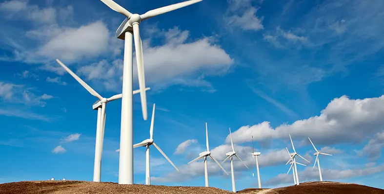 wind turbines on a farm