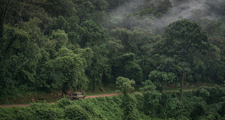 WAA and VCMI will seek to establish regulatory frameworks to enable access to high integrity and fair voluntary carbon markets for WAA member countries