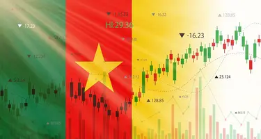 The Cameroonian flag with economic growth chart over the top. 