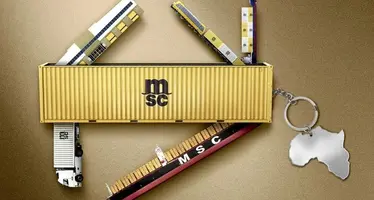 MSC_transport