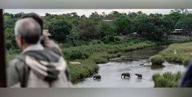 Kruger_National_Park