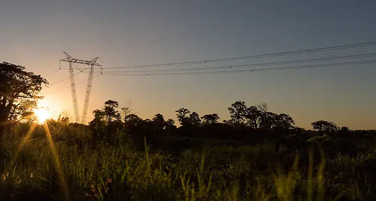 transmission_tower_Africa_jungle