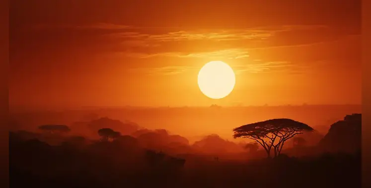 African_savanna_sunset