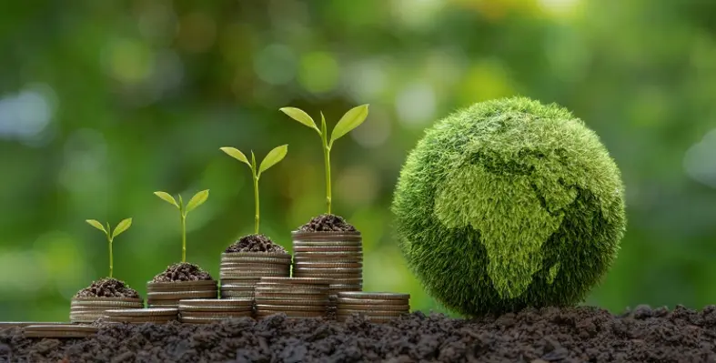 Africa has the potential to be a leading supplier of high-quality carbon credits, says Gbadegesin. (Image source: Adobe Stock) AdobeStock 622374548 Africa climate change