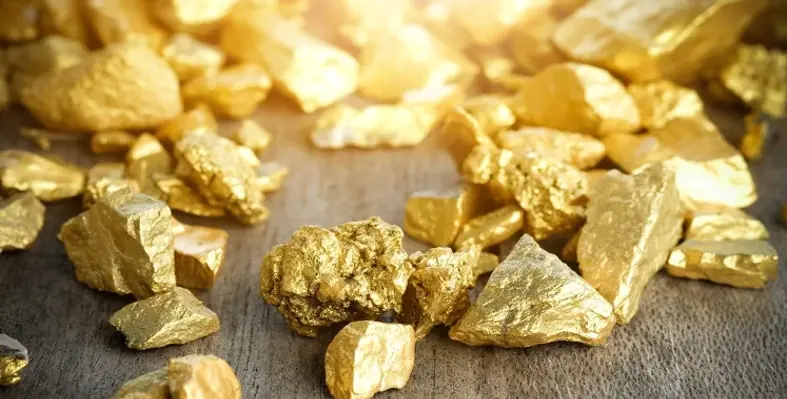 Chunks_of_gold_from_mining_operations_after_being_refined.