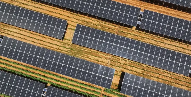 An overhead shot of a solar farm.