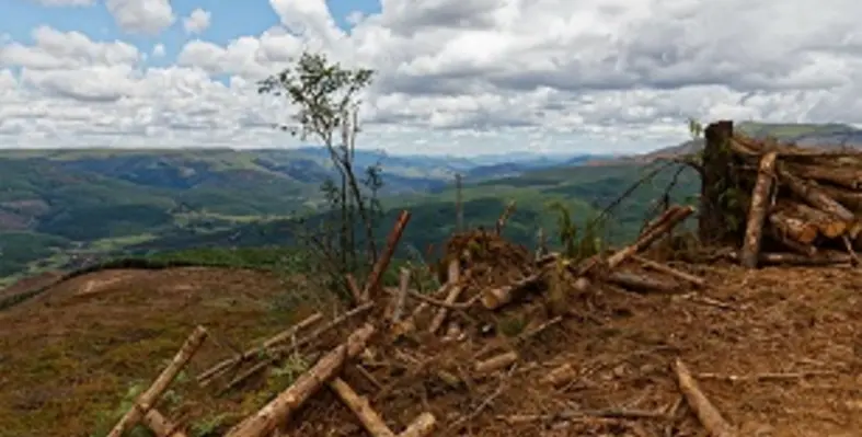 Sustainability_ethiopia