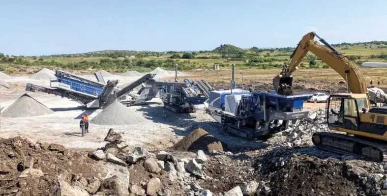 Kleema's_plant_in_tanzania 