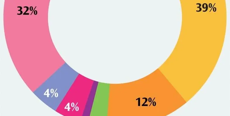 (Image credit: IMF) S07 ATR October 2019 Pan african Pie chartforuse