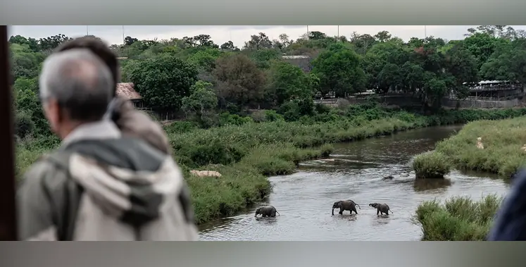 Kruger_National_Park