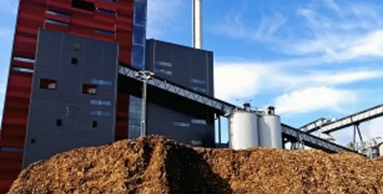 A_biomass_plant